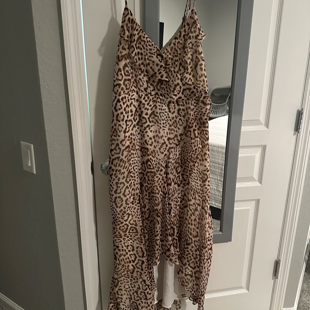 Express Animal Print Maxi Dress